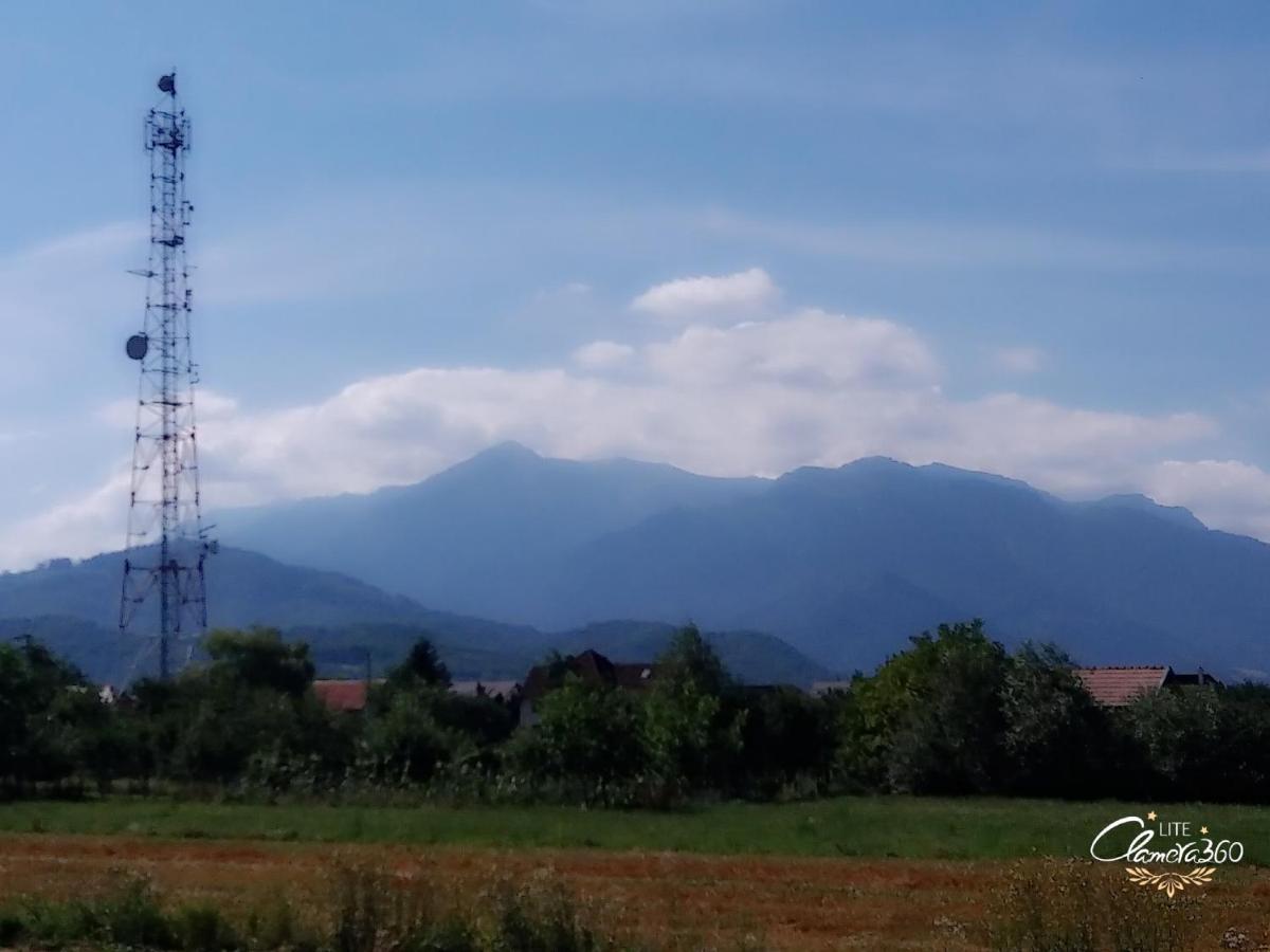Cazare Apartament Rasnov Appartamento Esterno foto