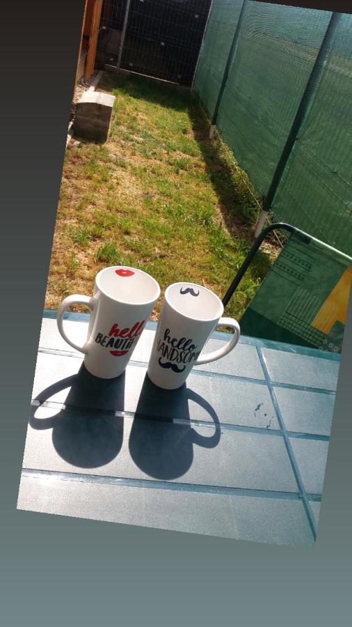 Cazare Apartament Rasnov Appartamento Esterno foto