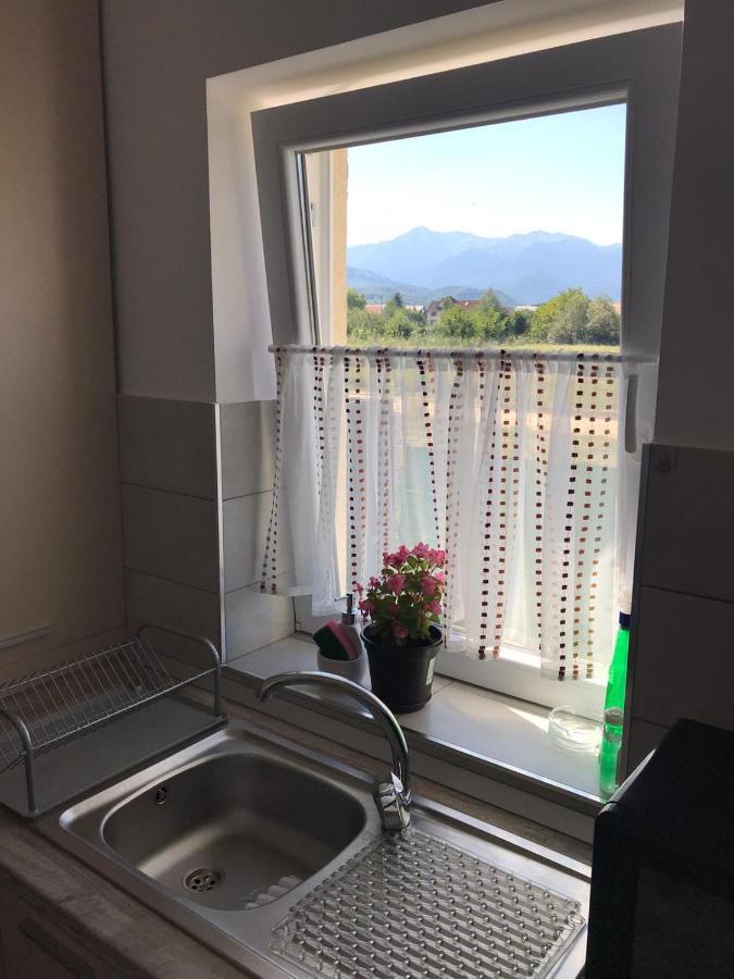 Cazare Apartament Rasnov Appartamento Esterno foto
