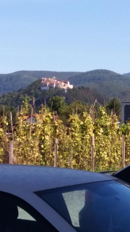 Cazare Apartament Rasnov Appartamento Esterno foto